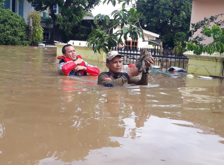 Kisah Kucing Kedinginan yang Diselamatkan Relawan PKS